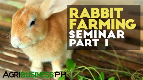 About Us – BUNNY PH.